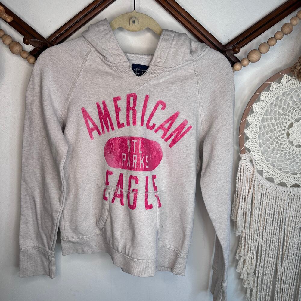 Vintage Y2K American Eagle National Park Gray Pink Hoodie